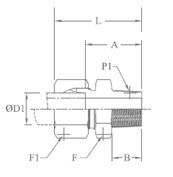 Back Ferrule